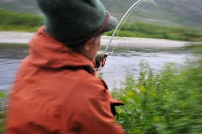 Into the fight Into the fight