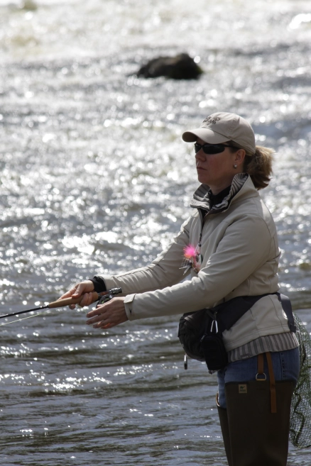 Trout stream in southern Germany Trout stream in southern Germany