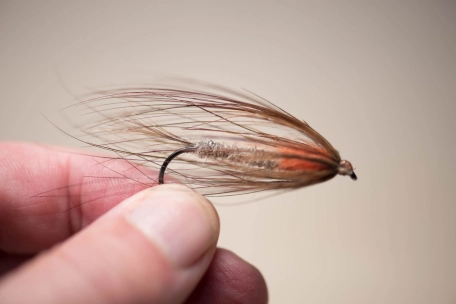 A good size fly A good size fly