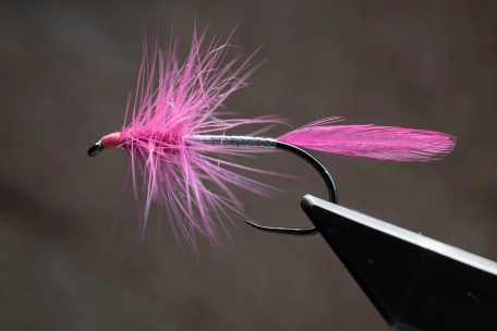 Pink Big Hole Demon Pink Big Hole Demon