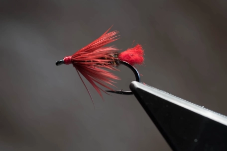 Really Red Red Tag Really Red Red Tag