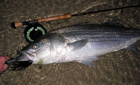 Sinister Phly at work Sinister Phly at work