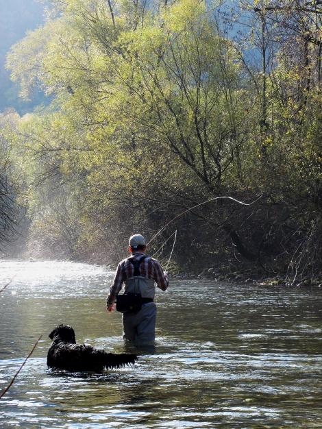 Man and dog Man and dog