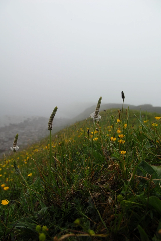 Misty shoreline Misty shoreline
