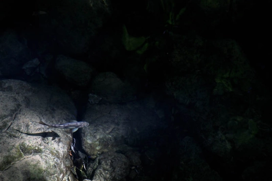 Sunny spot Sunny spot