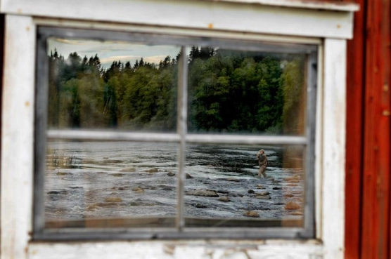 Window reflection Window reflection