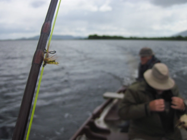 Dry fly ready for some Irish lake trout Dry fly ready for some Irish lake trout