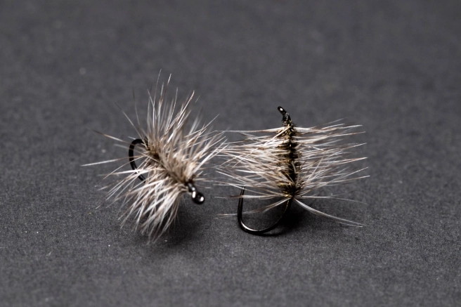 Griffith's Gnats Griffith's Gnats