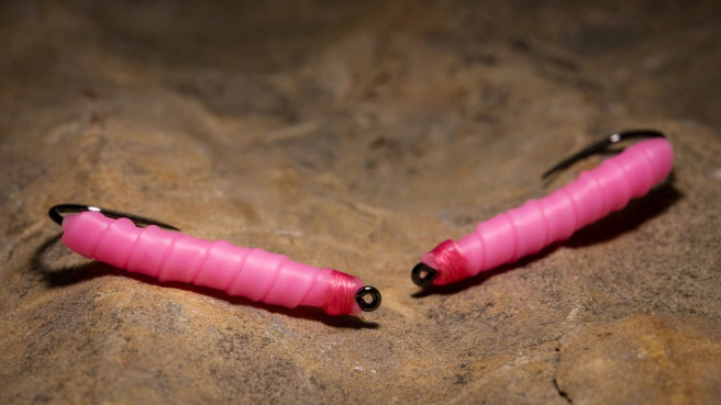 Two Tube Worms Two Tube Worms