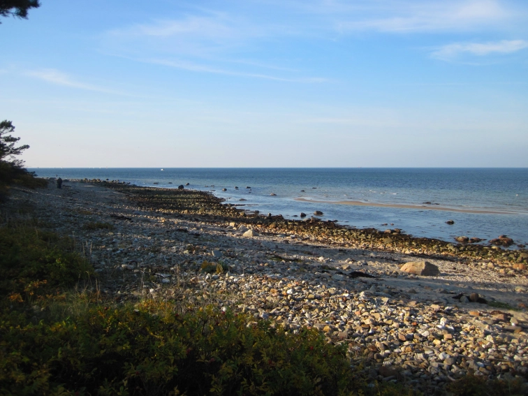 Hornbaek Plantage Hornbaek Plantage