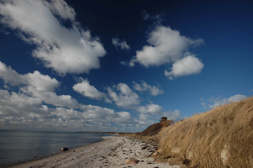 Spring feelings Spring feelings