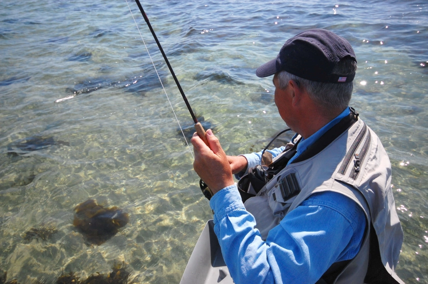 Over the shoulder Over the shoulder