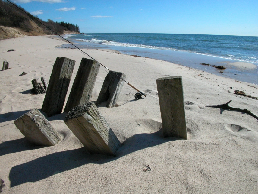 Not tropical Not tropical