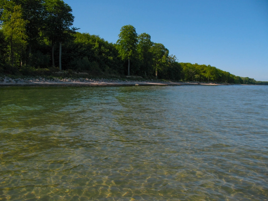 Almost tropical Almost tropical