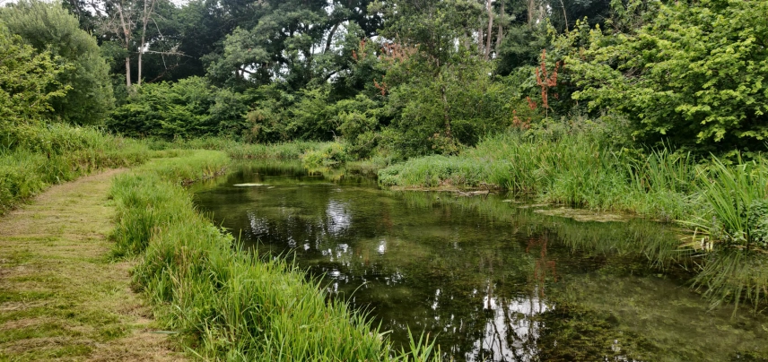 The River Dever The River Dever