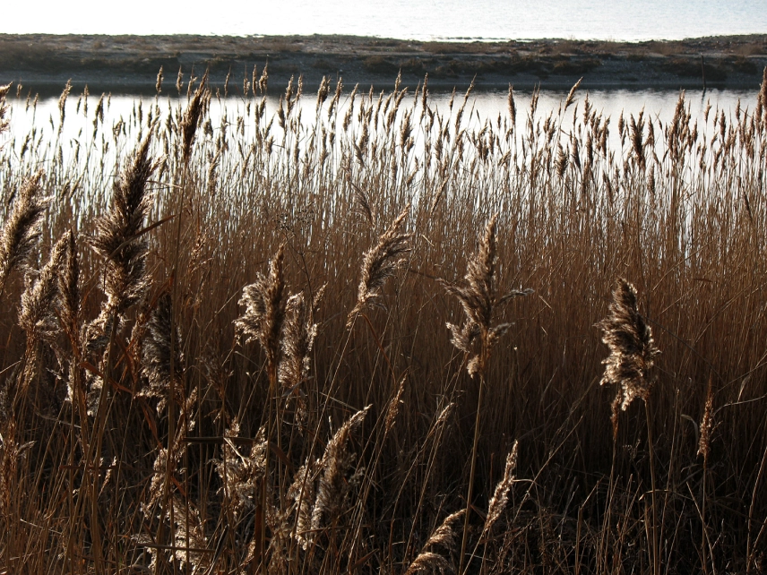 Low winter sun Low winter sun