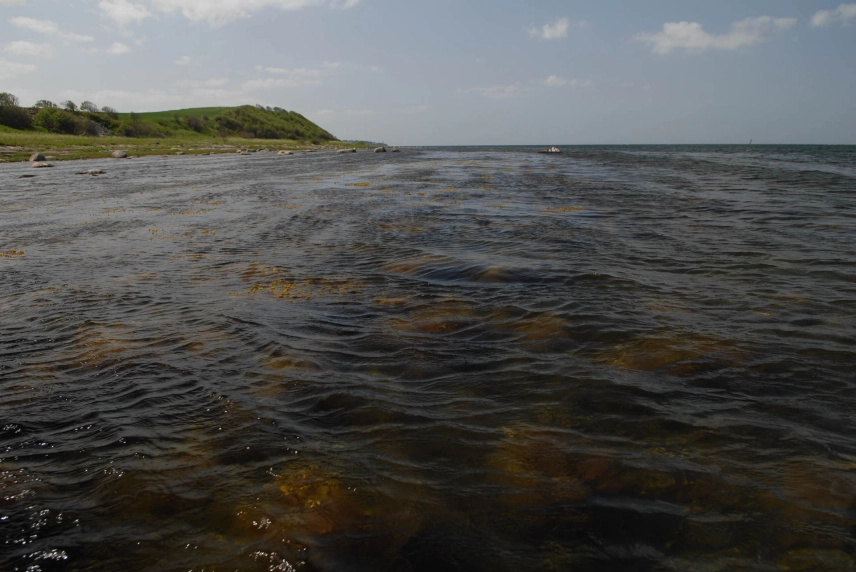 Sea trout country Sea trout country