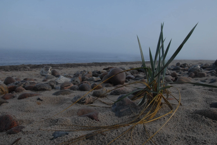 Lovely light Lovely light