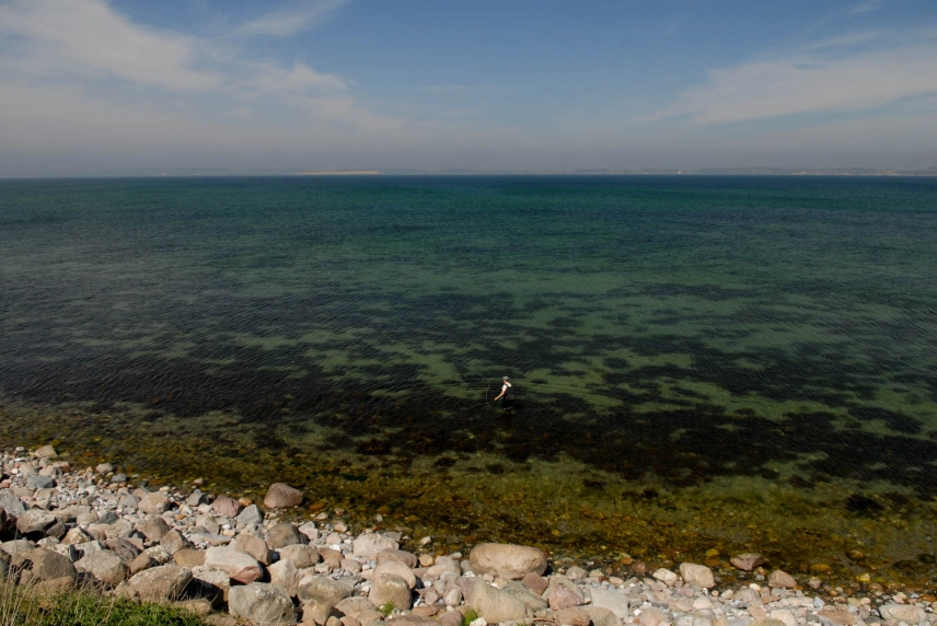 Sand and seaweed Sand and seaweed