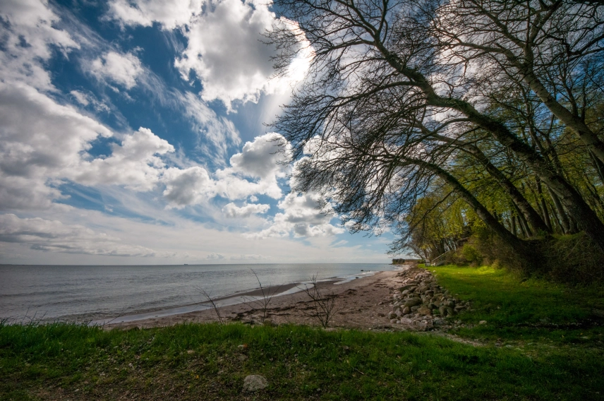 The header beach The header beach