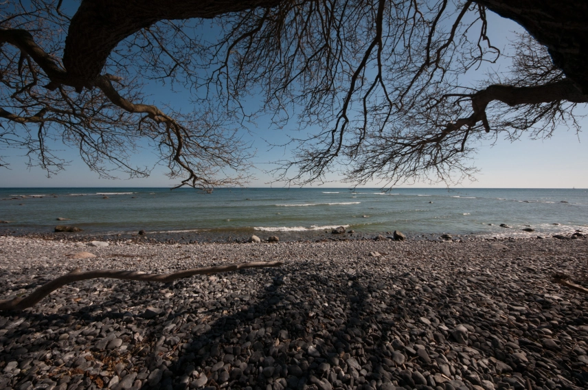 Overhanging branches Overhanging branches