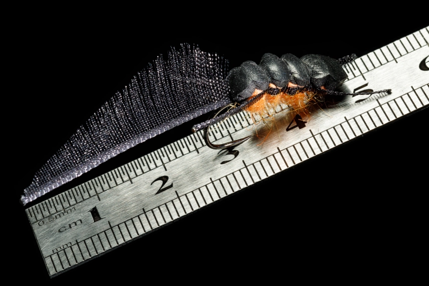 Amphibious fish food Amphibious fish food