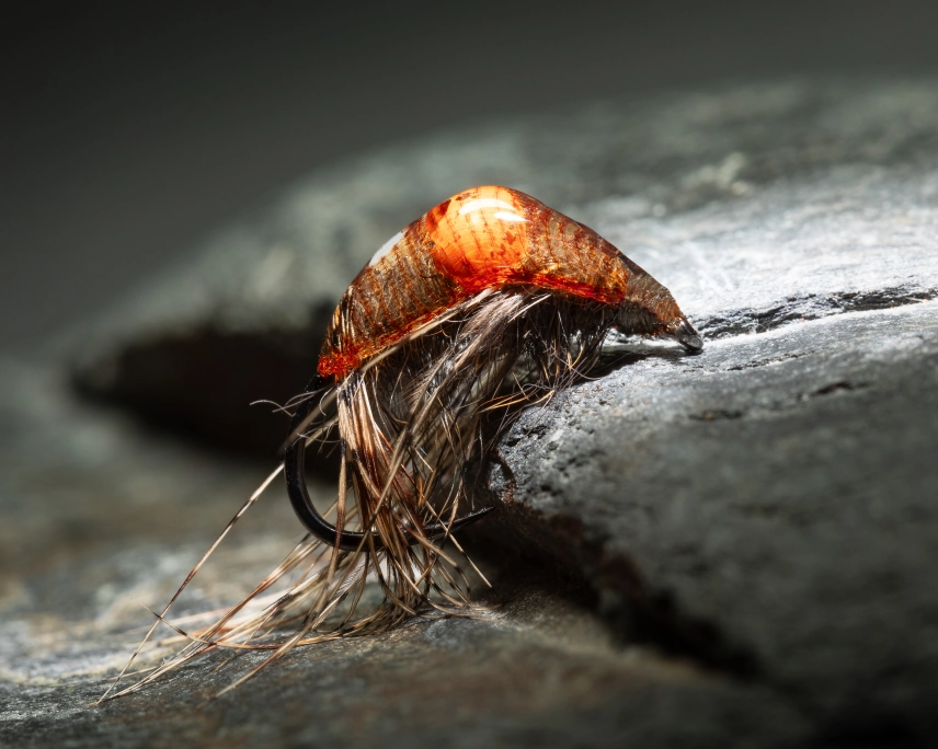 Clear orange spot Clear orange spot