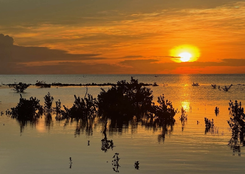 Sunset over a productive flat Sunset over a productive flat