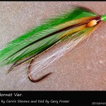 #319 Green Hornet Variant - Gary Fraser