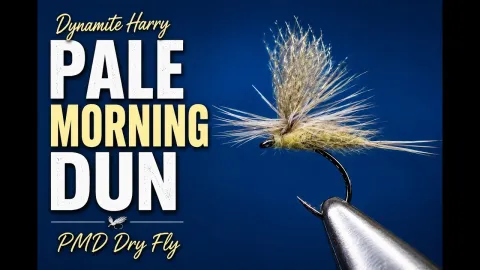 Video thumb for Dynamite Harry