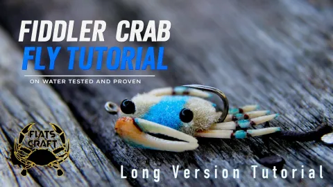Video thumb for Fiddler Crab