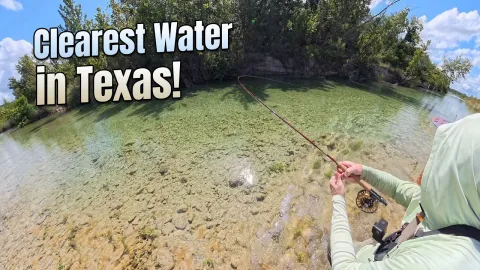 Video thumb for 1 Hour Fly Fishing Challenge
