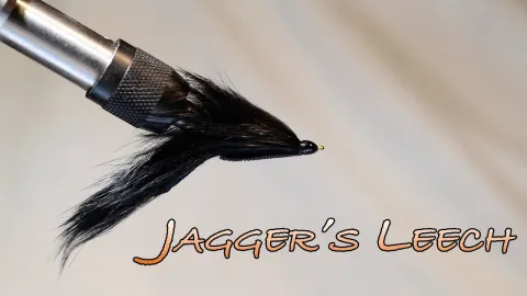 Video thumb for Jagger's Leech