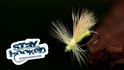 Video thumb for Little Yellow Stonefly