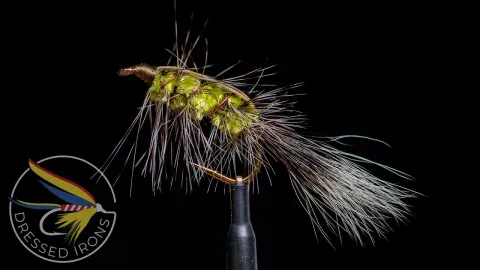 Video thumb for Michigan Wiggler