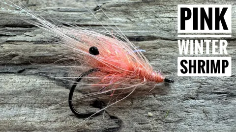 Video thumb for Pink Winter Fly