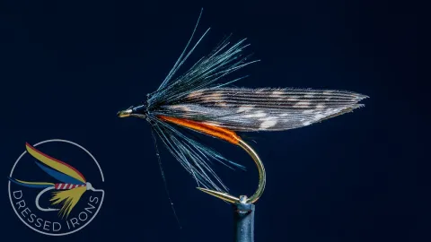 Video thumb for Cooper