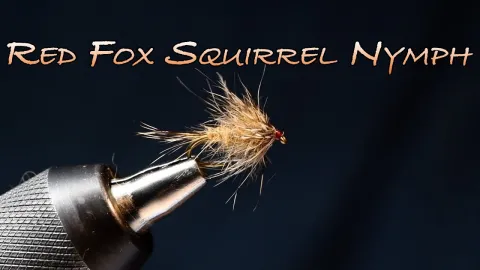 Video thumb for Whitlock's Red Fox Squirrel Nymph