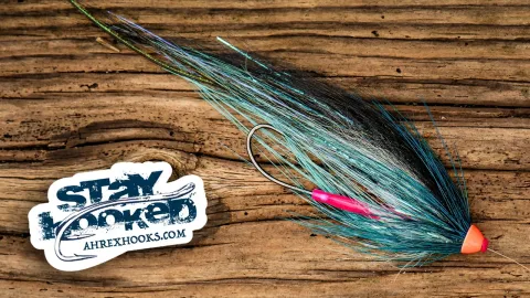 Video thumb for Posh Monkey