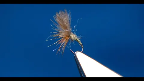 Video thumb for Small Caddis/Mayfly/Midge Emerger
