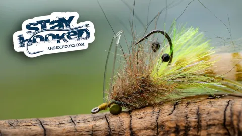 Video thumb for Cross Eyed Shrimp