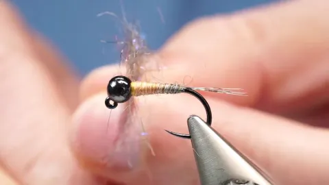 Video thumb for A24 Mojo Jig Nymph