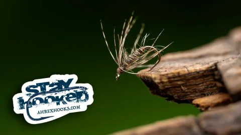 Video thumb for Gold Ribbed Hares Ear Soft Hackle