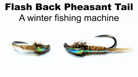 Video thumb for Flash Back Pheasant Tail