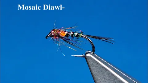 Video thumb for Mosaic Diawl Bach