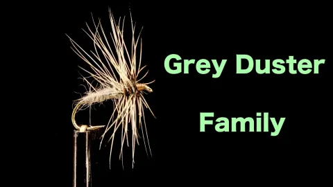 Video thumb for Grey Duster Family - Original, Wired Butt & Dirty Duster