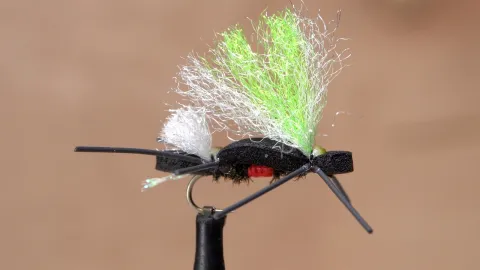 Video thumb for Mini Chubby Chernobyl