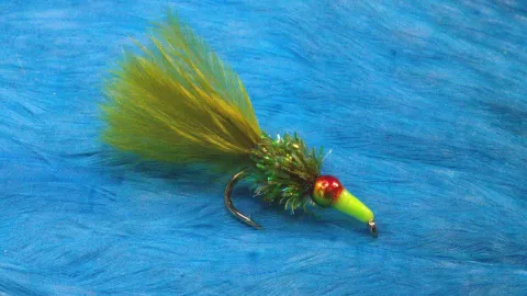 Video thumb for Olive Nomad