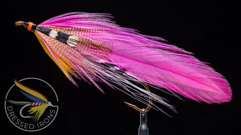 Video thumb for Pink Beauty