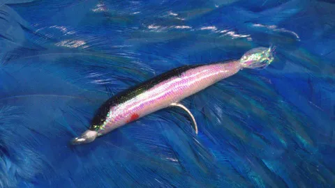 Video thumb for Floating Mylar Minnow